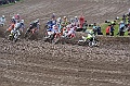 ROB_5122 (Copy)